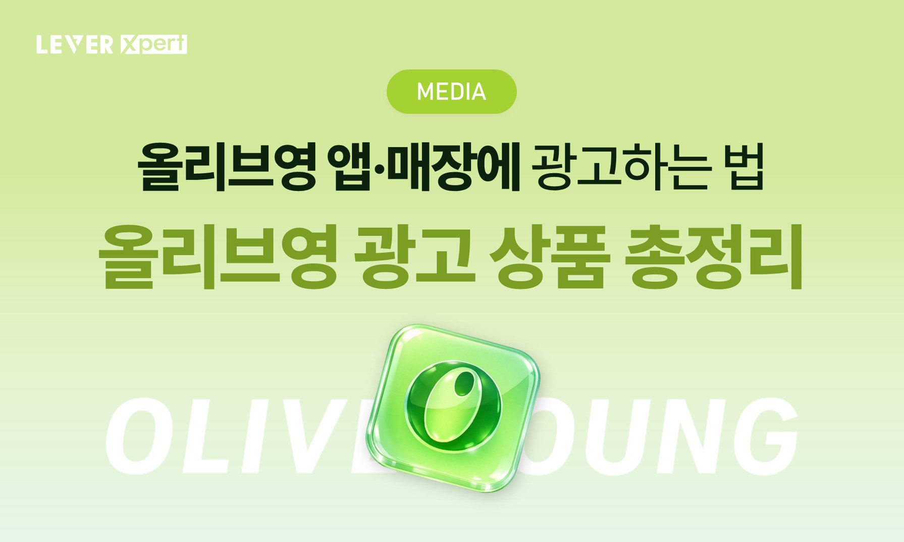 오늘의 인사이트 썸네일